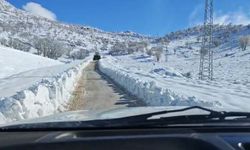 Siirt'te kar nedeniyle kapanan yollar açıldı