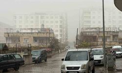 Siirt’te sis ve sağanak yağış etkili oldu