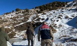 Siirt’te yaban hayvanlarına 750 kilo yem bırakıldı