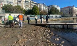 Sinop’ta deniz yüzeyindeki kirlilik vatandaşları endişelendirdi