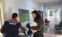 Sinop’ta hayvan kimliklendirme istatistikleri
