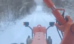 Sinop'ta kar yağışı: 34 köy yolu ulaşıma kapandı