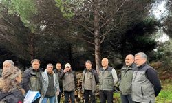 Sinop’ta ormancılık faaliyetleri