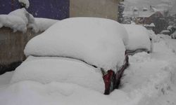 Şırnak'ta araçlar kar altında kayboldu