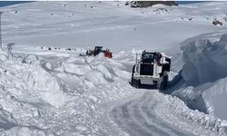 Şırnak’ta tipi, köy yollarını ulaşıma kapattı