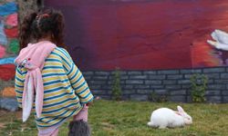 Sivrice Kadın Cezaevi, EuroPris’te 30 ülkeyi geride bırakarak birinciliği aldı