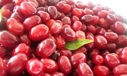 Soğuk algınlığına doğal çözüm: Kızılcık