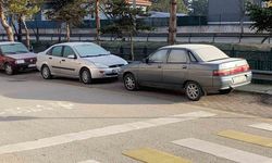 Soğuk hava sebebiyle çimler ve otomobil camları buz tuttu