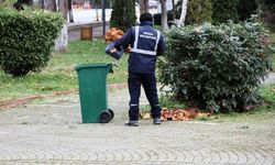 Söğüt’te temizlik çalışmaları hız kazandı