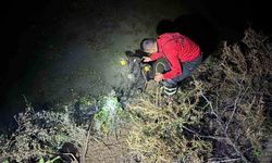 Su kanalına düşen buzağıyı itfaiye kurtardı