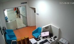 Suç makinesi kadın daha fazla kaçamadı: Hırsızlık anları kameraya yansıdı