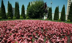 Talas 2026’da rengarenk olacak