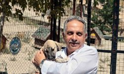 Talas Patievi Doğal Yaşam Alanı 500 can için seçkin bir yuva