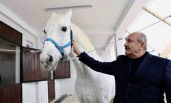 Taşköprü’ye atlı turizm merkezi kuruluyor