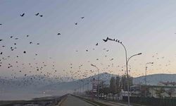 Tatvan sahilinde gökyüzünde sıra dışı manzara