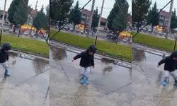 Tavşanlı’da orta refüjdeki ağaca çarpan otomobildeki 2 kişi yaralandı