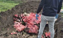 Tekirdağ’da 1 ton menşei belirsiz hayvansal ürün imha edildi