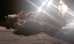 Tekman’da karla mücadele ekipleri kapalı mahalle yollarını açmak için seferber oldu