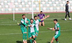TFF 3. Lig: Amasyaspor: 3 - Artvin Hopaspor: 2
