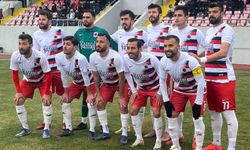 TKİ Tavşanlı Linyitspor doludizgin: 2-0