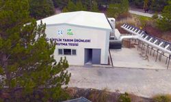 TOGÜ tarım ürünleri kurutma tesisi, sürdürülebilir üretime güç katıyor