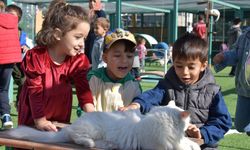 Türkiye'de ilk olan 'Küçük Dostlar Ambulansı' ile 10 bin 280 can kurtarıldı