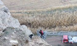 Uçurumda mahsur kalan keçileri itfaiye kurtardı