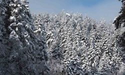 Uludağ’da göz gözü görmüyor