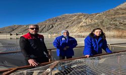 Uludere'de alabalık üretim tesislerine denetim