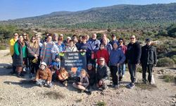 Urla’da yanan orman için umut yeşerdi: 500 meşe palamudu toprakla buluştu