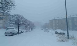 Van kar yağışı: 569 yol kapandı, uçak seferleri iptal edildi