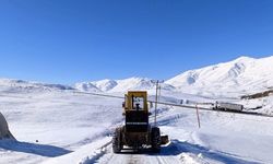 Van’da 35 ulaşım yolu kapalı