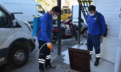 Vektörel mücadele çalışmaları devam ediyor