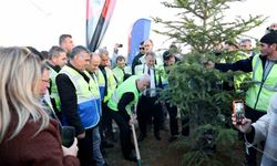 Yeniden yeşil Bursa için 15 bin nefes