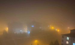 Yenişehir’de sis etkili oldu, görüş mesafesi 1 metreye kadar düştü