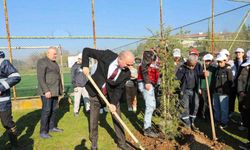 Yeşil Düzce’de fidanlar toprakla buluştu