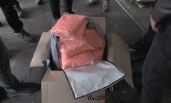 Yılbaşı öncesi Kapıkule'de dev uyuşturucu operasyonu: Yaklaşık 600 kilo zehir ele geçirildi