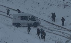 Yüksekova yoğun kara teslim oldu