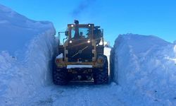 Yüksekova’da 3 metrelik karla zorlu mücadele
