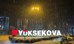 Yüksekova’da lapa lapa kar yağışı