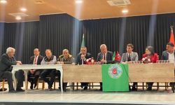 Zeytin üreticileri için destek ve markalaşma önerisi