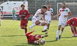 Ziraat Türkiye Kupası: Yalova FK: 0 - Gaziantep FK: 2