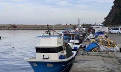 Zonguldak’ta hamsi yoğunluğu yaşandı, palamut çıkmadı