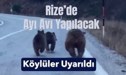 Rize’de Ayı Avı Yapılacak, Köylüler Uyarıldı