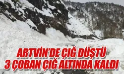 Artvin'in Ardanuç ilçesi Aksu Yaylası'nda çığ düştü