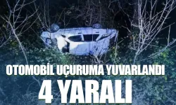 Artvin’in Ardanuç ilçesinde otomobil uçuruma yuvarlandı: 4 yaralı