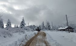 Rize ve Artvin'in yükseklerinde yoğun kar yağışı bekleniyor