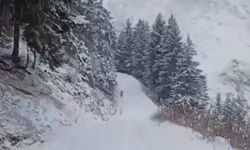 Anzer Yaylası’na kar yağdı, her yer beyaza büründü