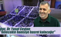 Bilim İnsanları Uyardı: Karadeniz’de Hamsi Tükeniyor