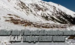 Rize’nin Yüksek Kesimlerinde Kar Yağışı Etkili Oldu